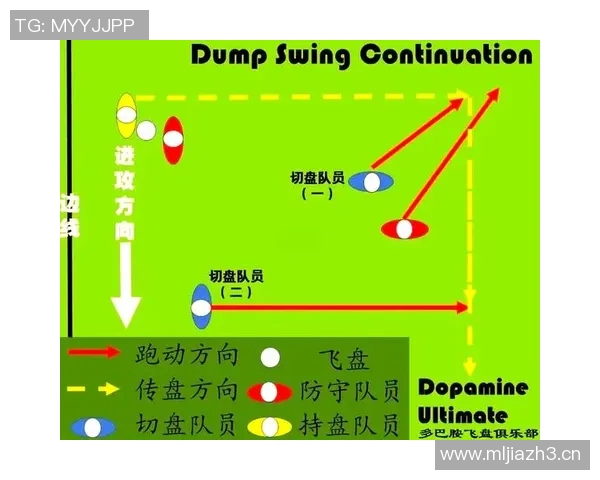南京飞盘队盯防战术深度解析与实战应用探讨
